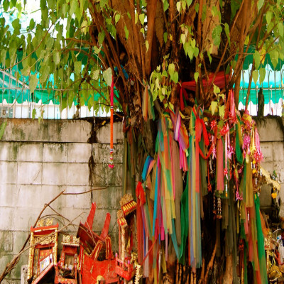Spring Festival Package Tour
